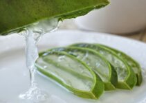 Best Time to Take Aloe Vera Juice for Constipation