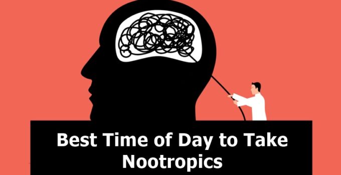 Best Time of Day to Take Nootropics