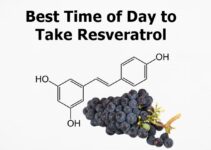 Best Time of Day to Take Resveratrol 