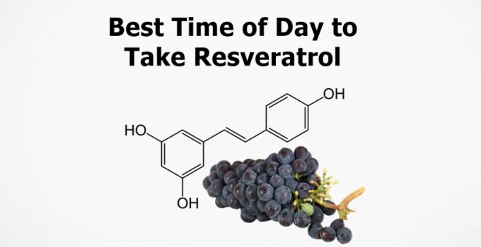 Best Time of Day to Take Resveratrol 