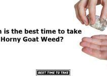Best Time to Take Horny Goat Weed