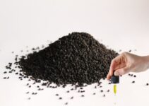 Best Time to Take Black Seed Oil