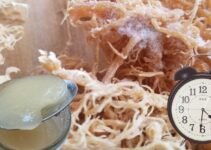 When is The Best Time to Take Sea Moss?
