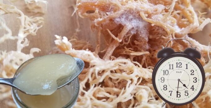 When is The Best Time to Take Sea Moss?