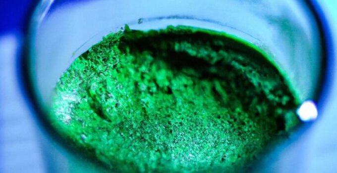 When is the Best Time to Take Greens Powder