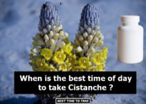 Best Time of Day to Take Cistanche