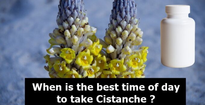 When is the best time of day to take Cistanche