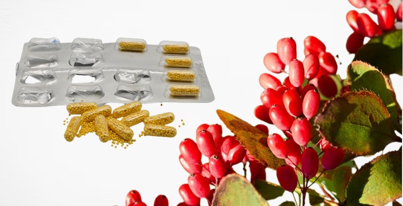 Factors to consider when deciding the best time to take berberine