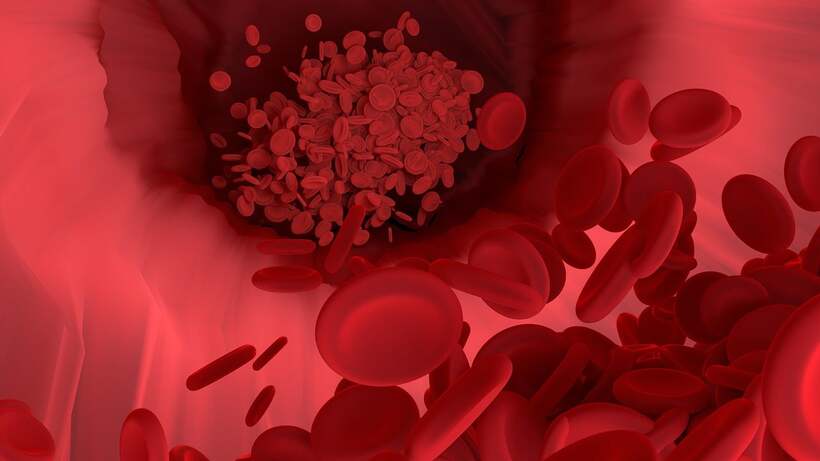 Folic acid produces red blood cells