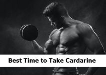 Best Time to Take Cardarine